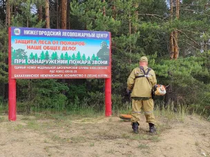 В лесах Нижегородской области оборудовано более трех тысяч мест отдыха для обеспечения пожарной безопасности